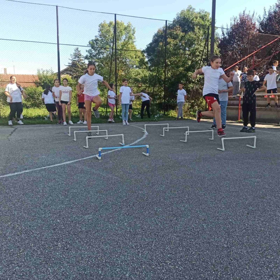 Evropski dan školskog sporta