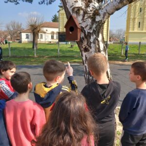 Чуда природе уз СТЕАМ – учење кроз природу, сарадњу и креативност